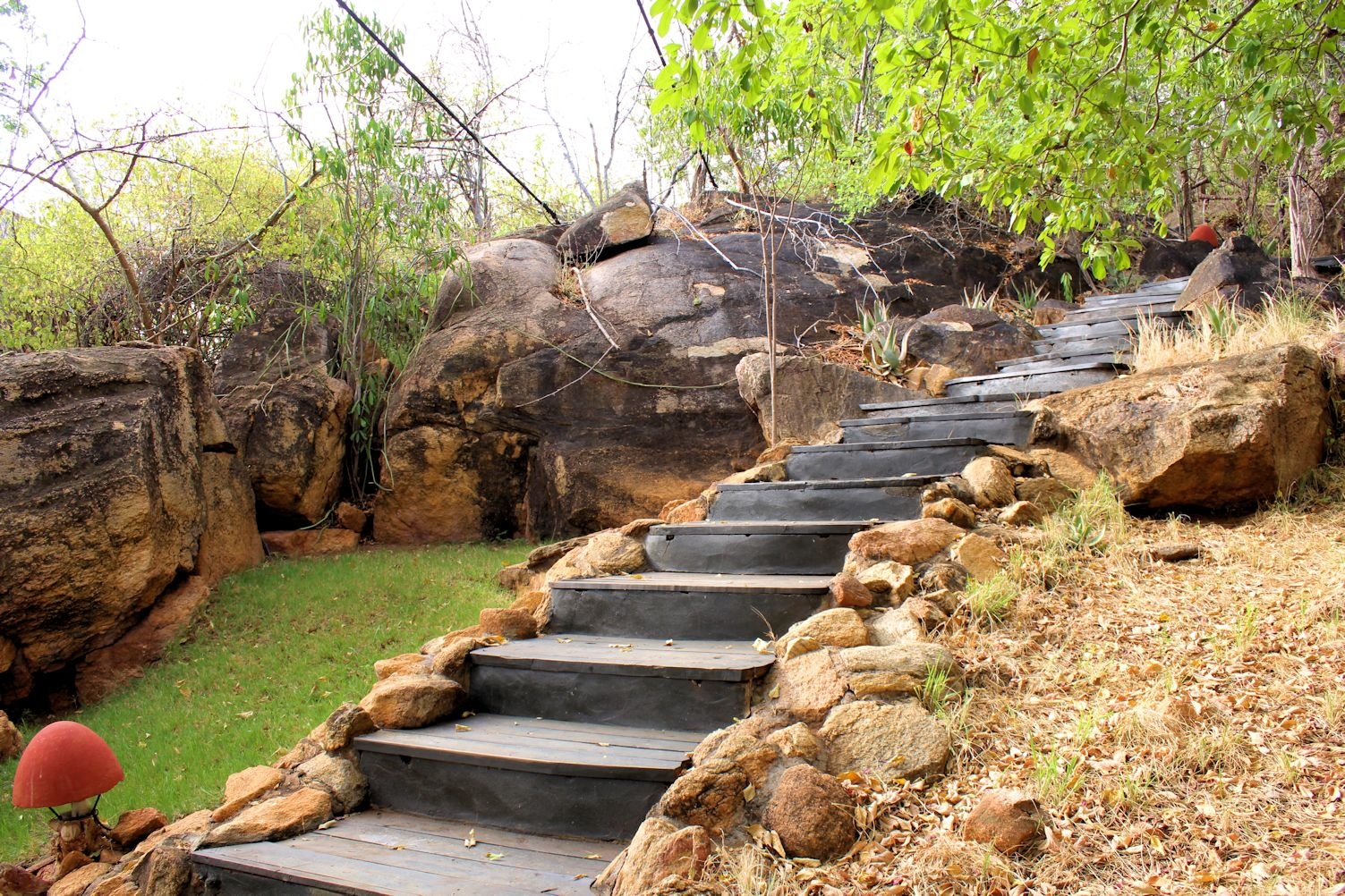 Elsa Kopje, Meru National Park — image 22 of 30
